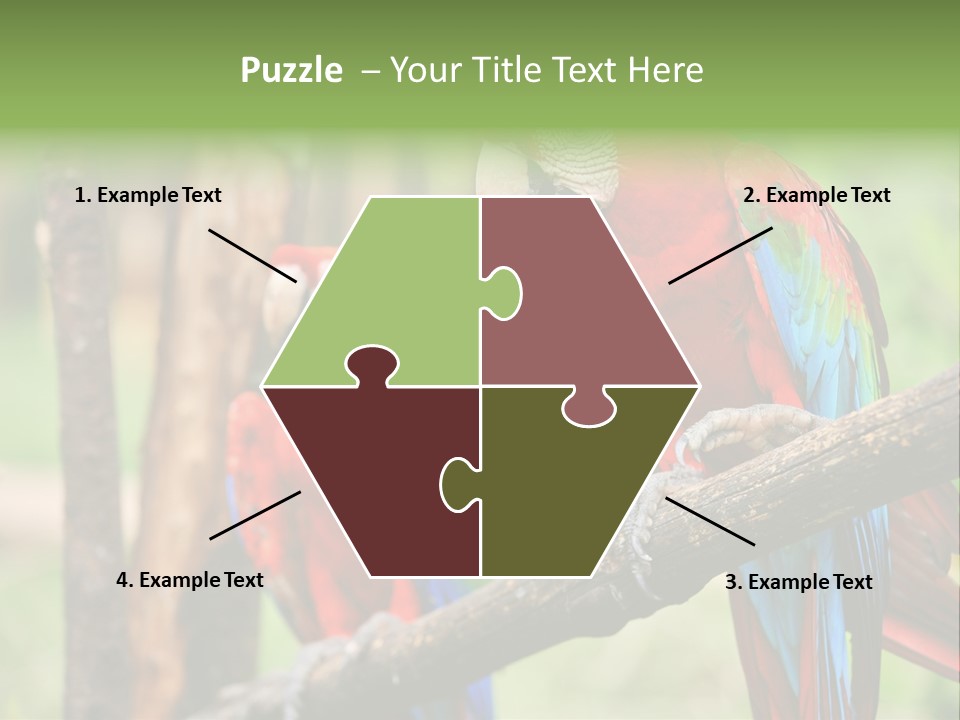 Guyana Peru Tropical PowerPoint Template