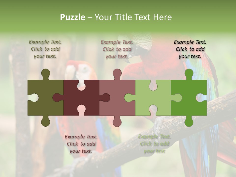 Guyana Peru Tropical PowerPoint Template