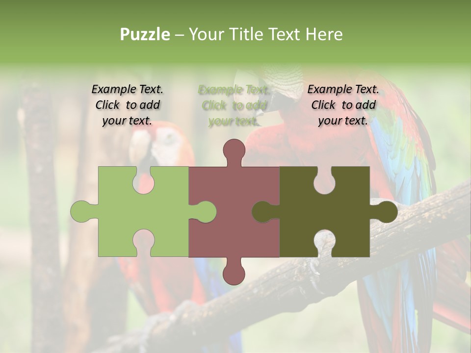 Guyana Peru Tropical PowerPoint Template