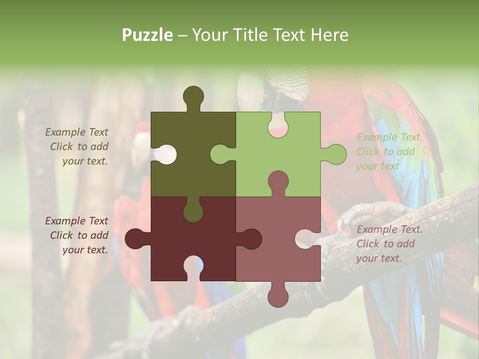 Guyana Peru Tropical PowerPoint Template