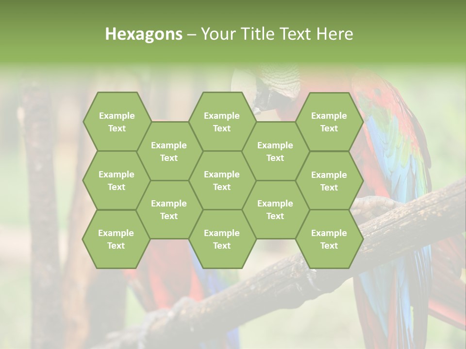 Guyana Peru Tropical PowerPoint Template