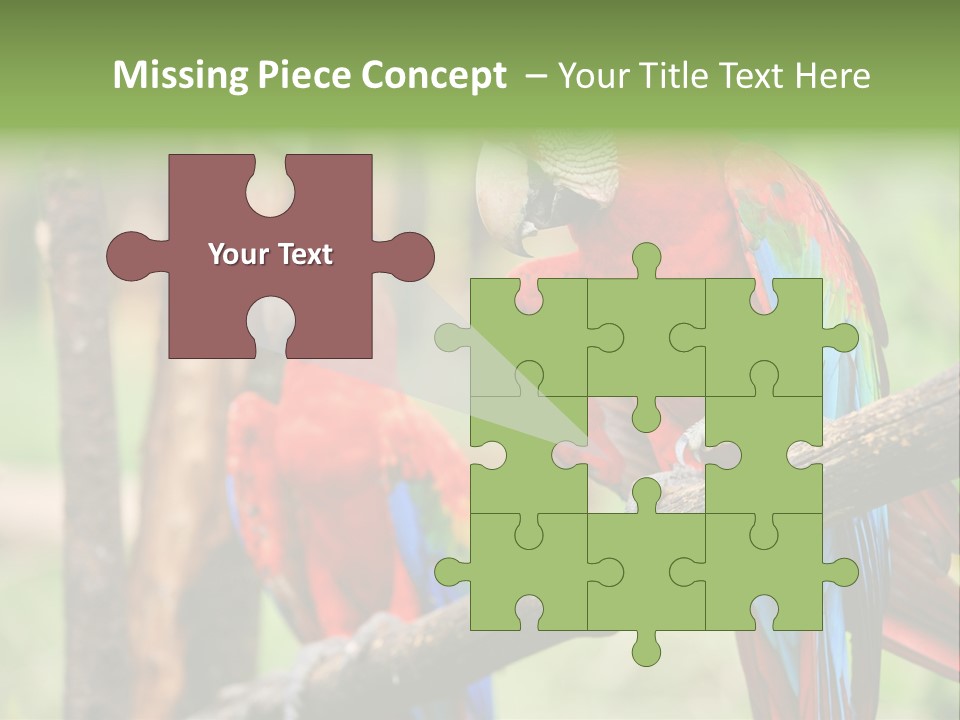 Guyana Peru Tropical PowerPoint Template