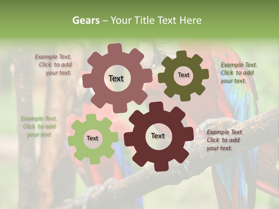 Guyana Peru Tropical PowerPoint Template