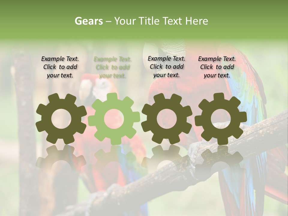 Guyana Peru Tropical PowerPoint Template