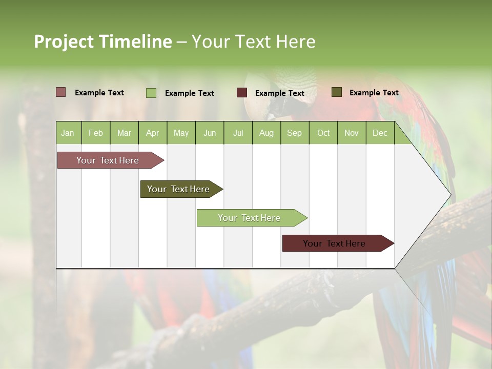 Guyana Peru Tropical PowerPoint Template