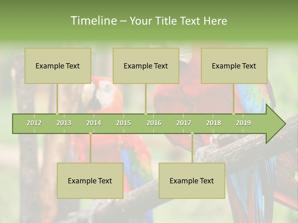 Guyana Peru Tropical PowerPoint Template