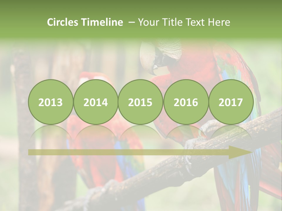 Guyana Peru Tropical PowerPoint Template