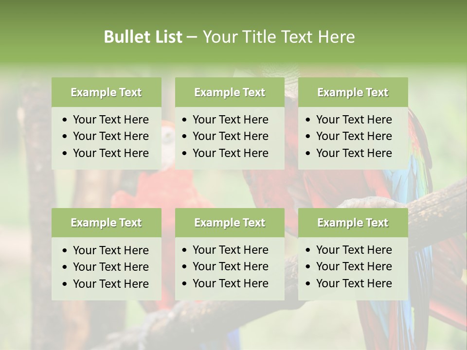 Guyana Peru Tropical PowerPoint Template