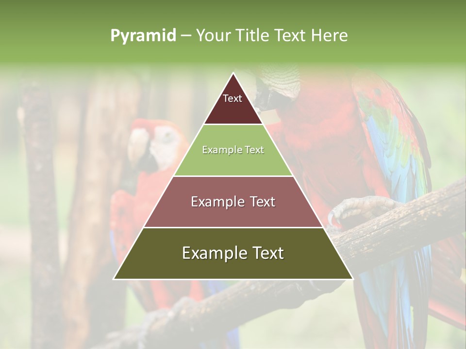 Guyana Peru Tropical PowerPoint Template