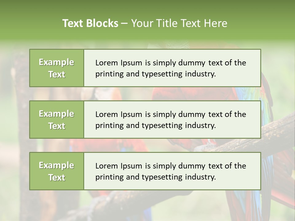 Guyana Peru Tropical PowerPoint Template