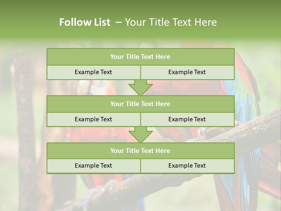 Guyana Peru Tropical PowerPoint Template