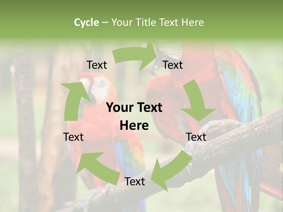 Guyana Peru Tropical PowerPoint Template