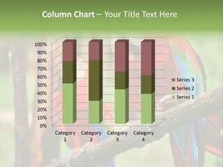 Guyana Peru Tropical PowerPoint Template