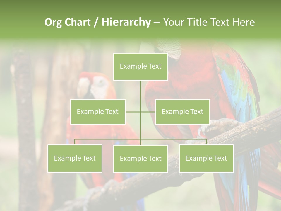 Guyana Peru Tropical PowerPoint Template