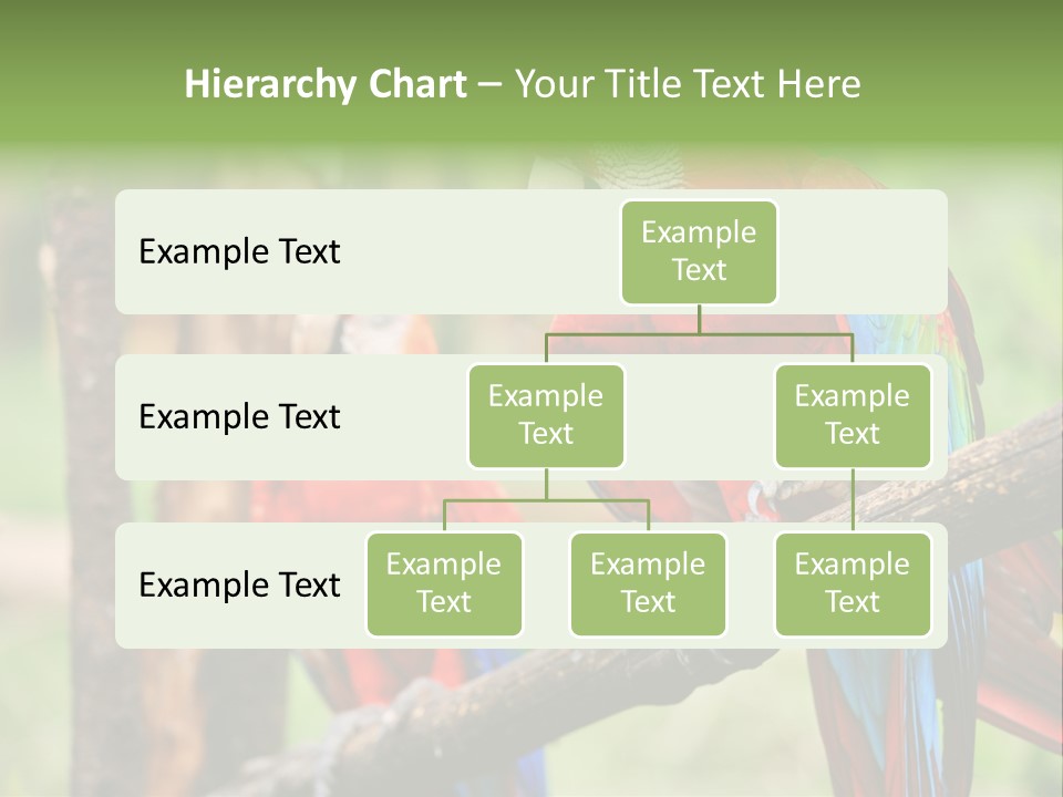 Guyana Peru Tropical PowerPoint Template