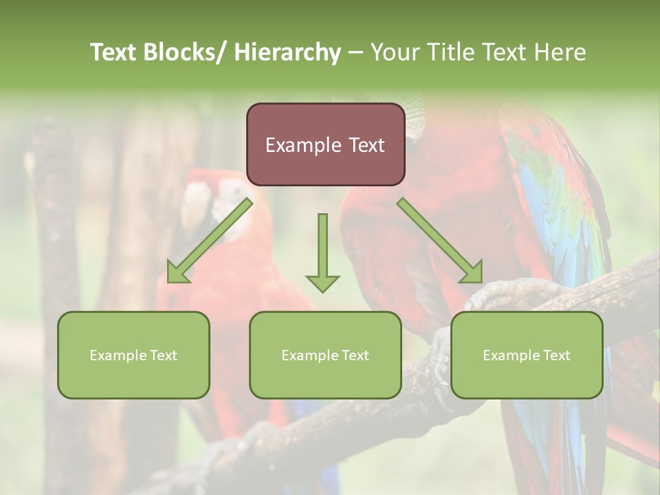 Guyana Peru Tropical PowerPoint Template
