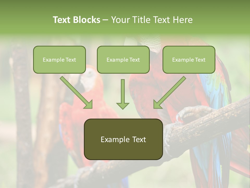Guyana Peru Tropical PowerPoint Template