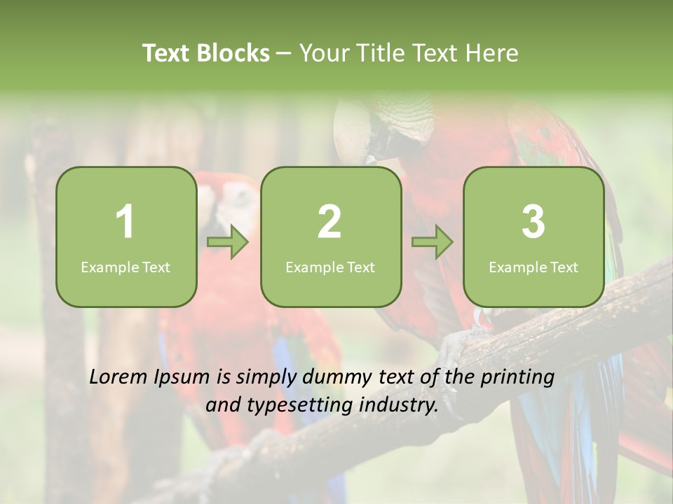 Guyana Peru Tropical PowerPoint Template