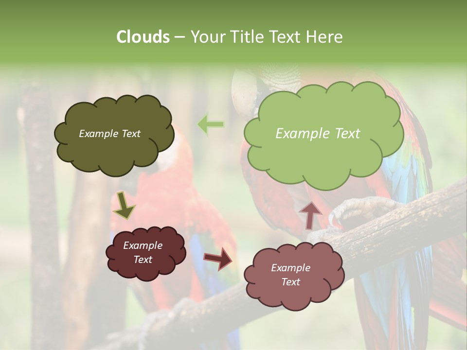 Guyana Peru Tropical PowerPoint Template