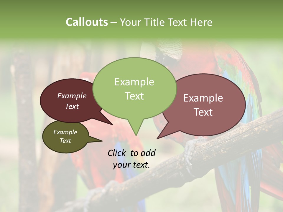 Guyana Peru Tropical PowerPoint Template