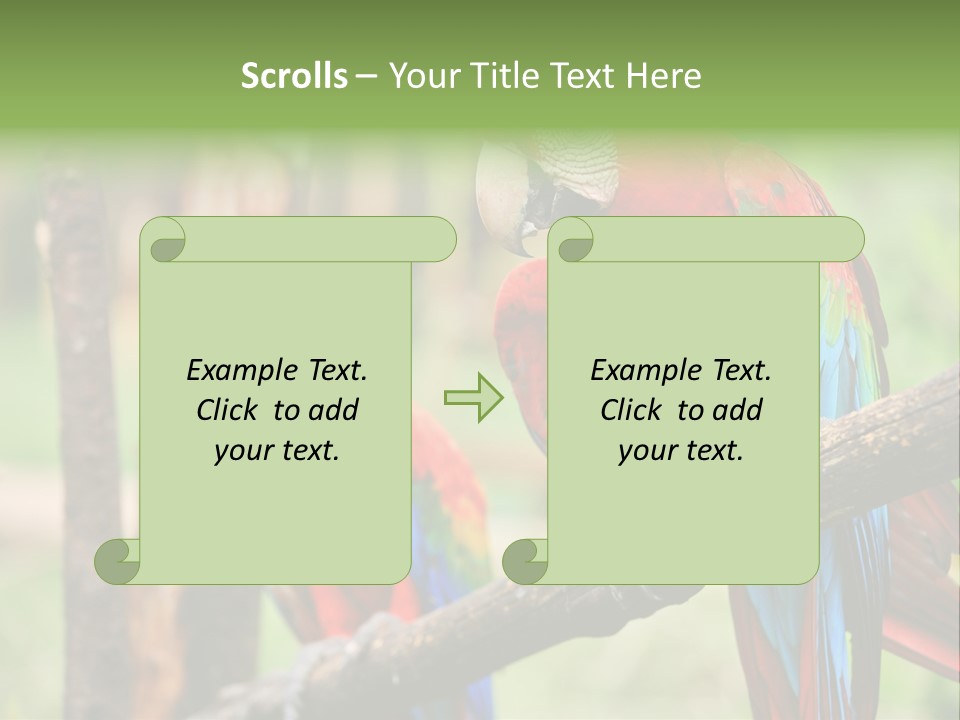 Guyana Peru Tropical PowerPoint Template