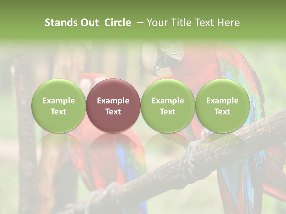 Guyana Peru Tropical PowerPoint Template