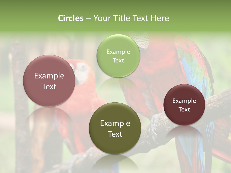 Guyana Peru Tropical PowerPoint Template