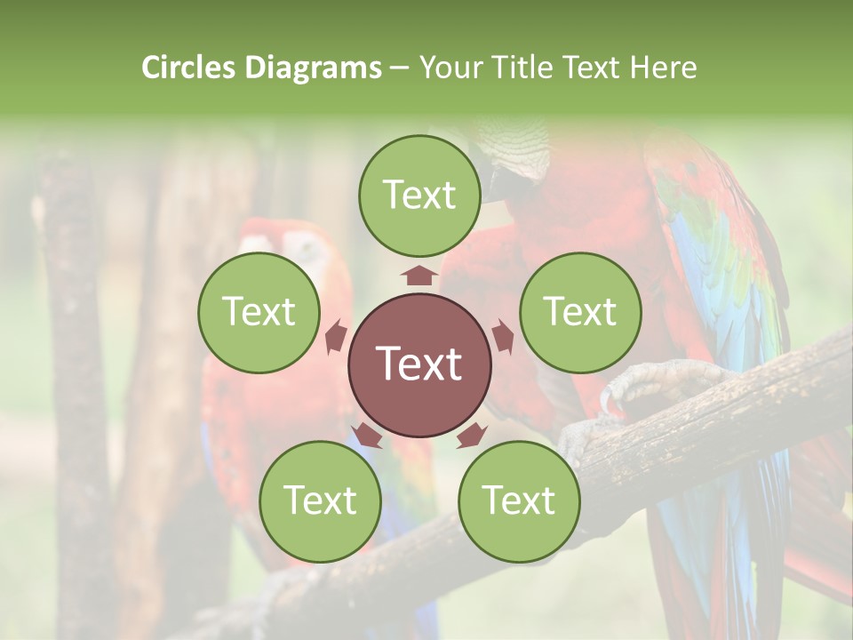 Guyana Peru Tropical PowerPoint Template