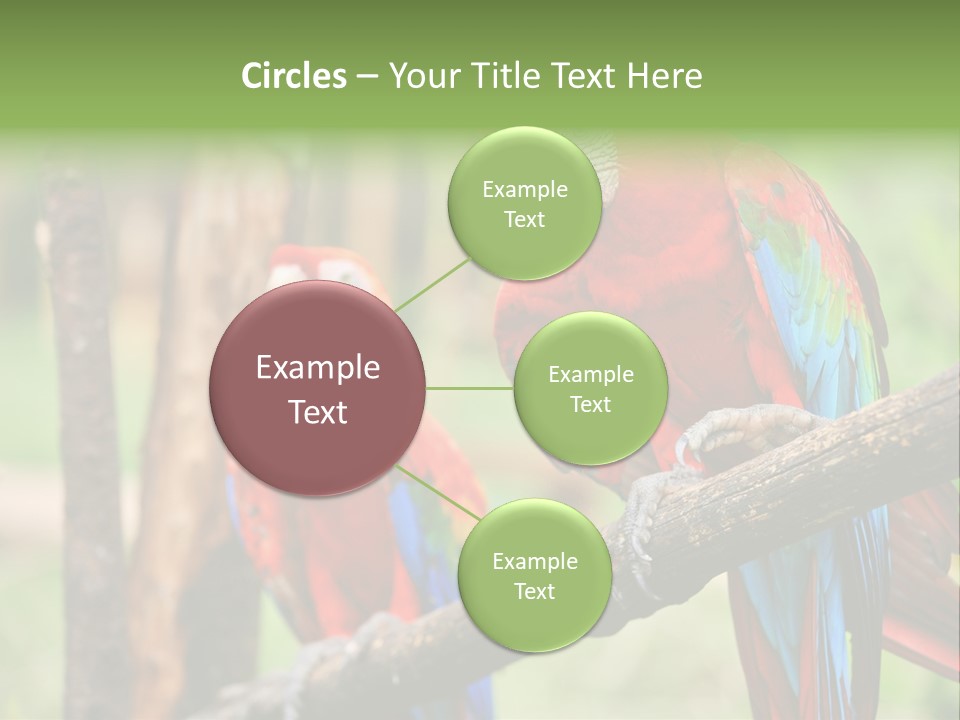 Guyana Peru Tropical PowerPoint Template