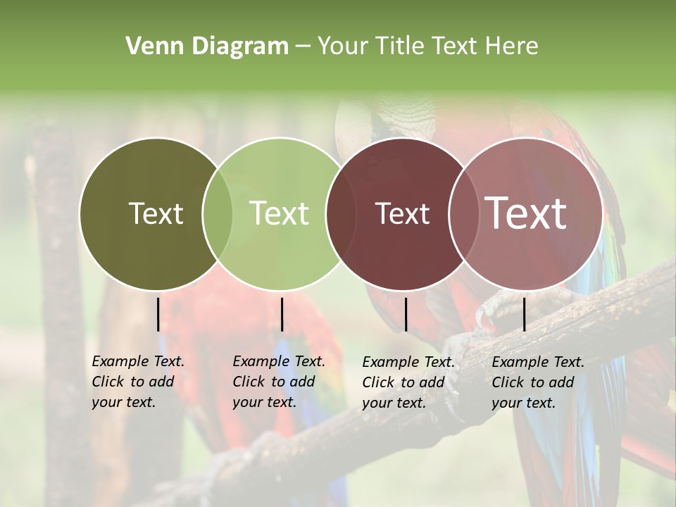 Guyana Peru Tropical PowerPoint Template