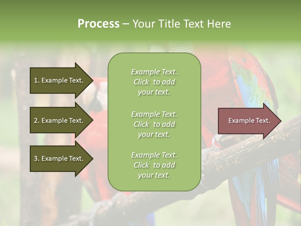 Guyana Peru Tropical PowerPoint Template