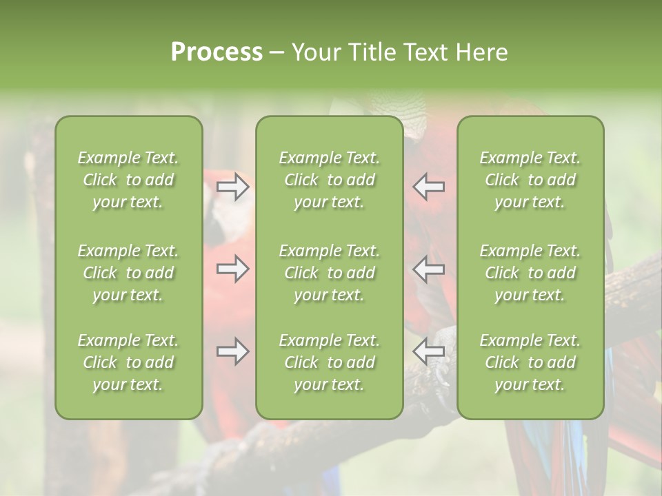 Guyana Peru Tropical PowerPoint Template