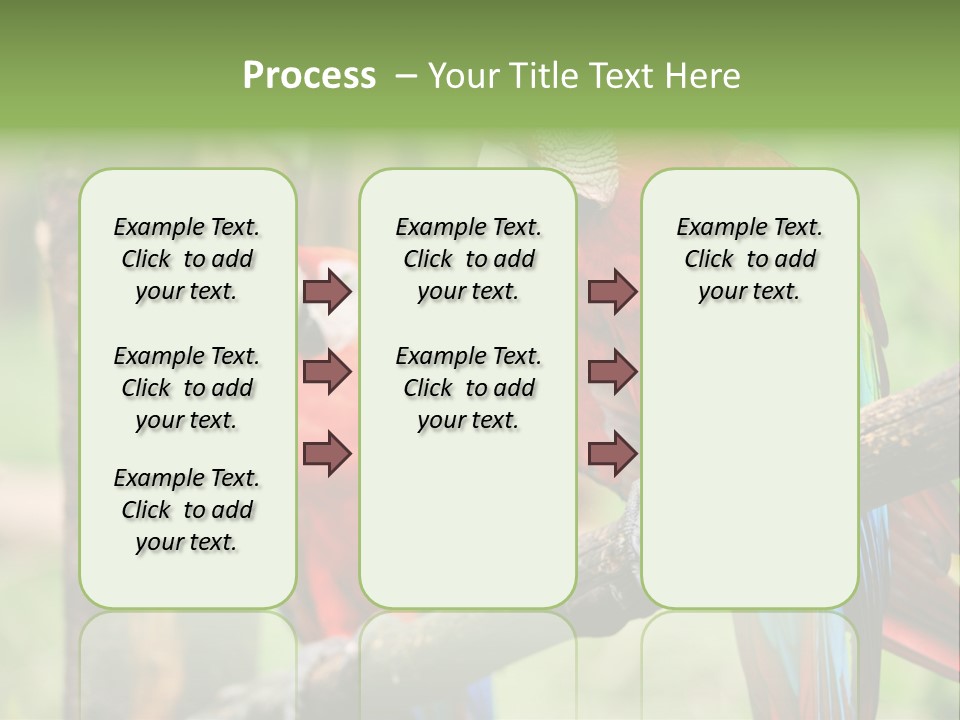 Guyana Peru Tropical PowerPoint Template