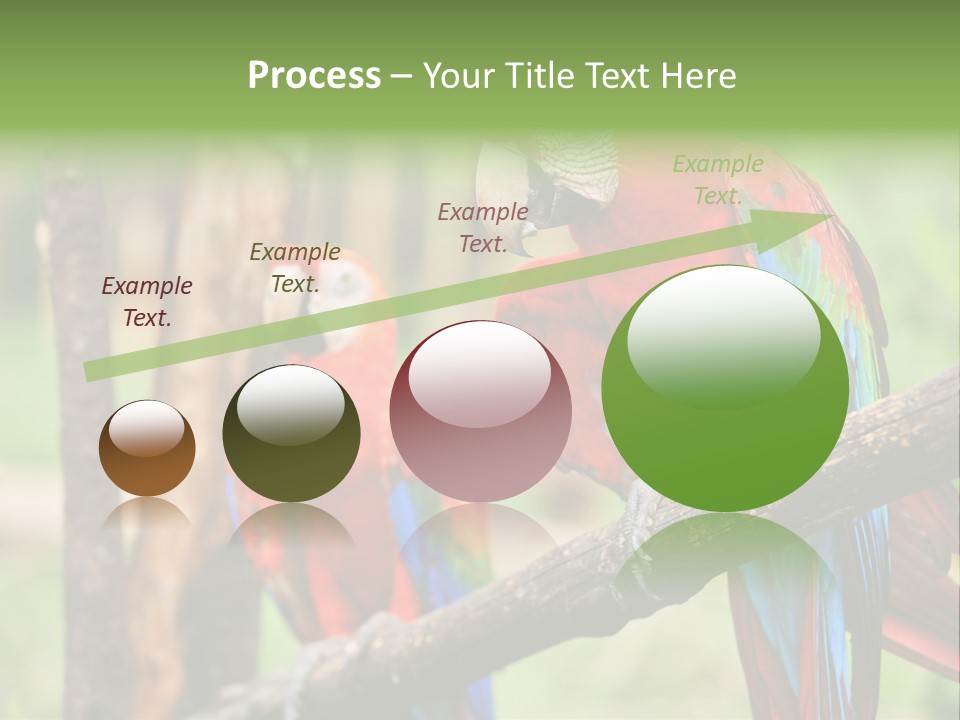 Guyana Peru Tropical PowerPoint Template