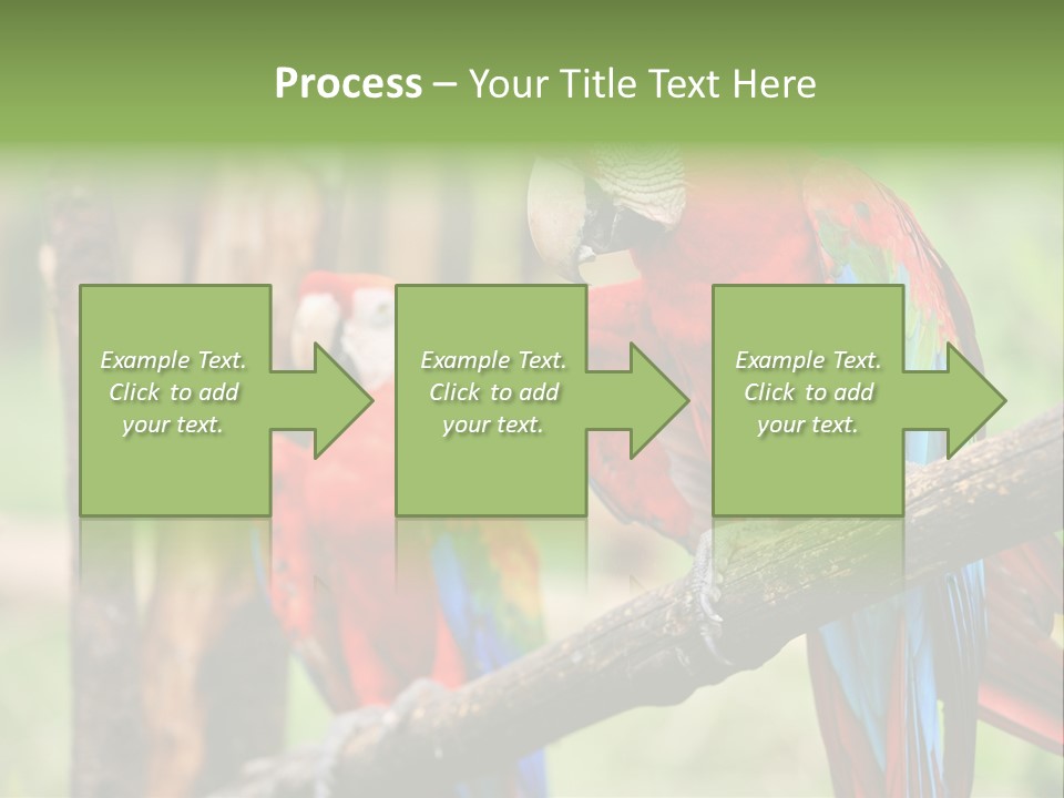 Guyana Peru Tropical PowerPoint Template