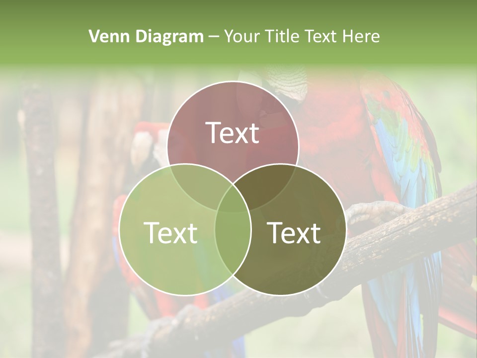 Guyana Peru Tropical PowerPoint Template