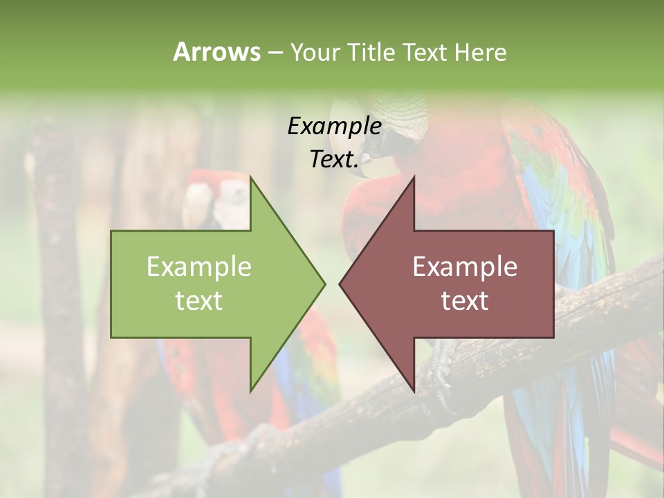 Guyana Peru Tropical PowerPoint Template