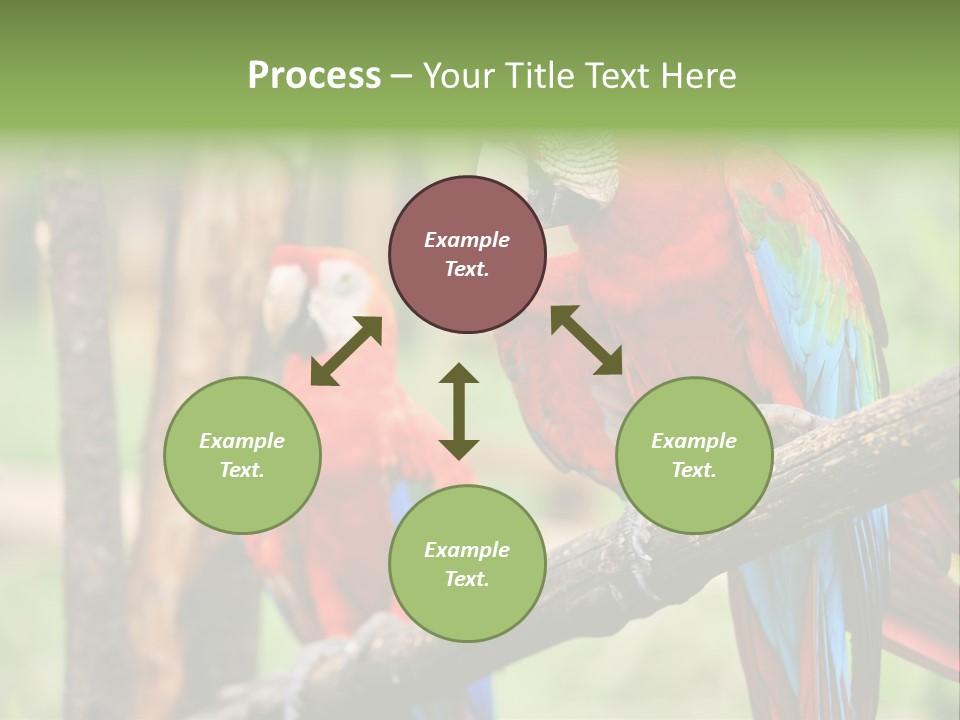 Guyana Peru Tropical PowerPoint Template