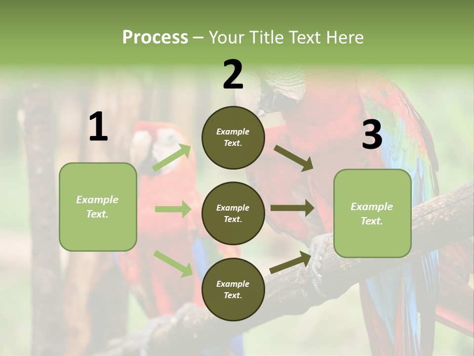 Guyana Peru Tropical PowerPoint Template