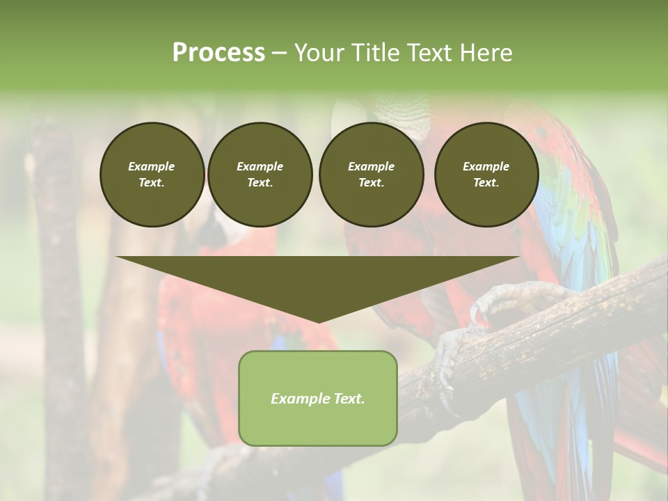 Guyana Peru Tropical PowerPoint Template