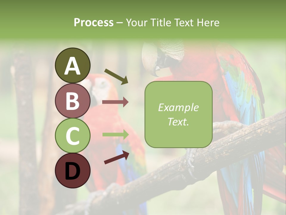 Guyana Peru Tropical PowerPoint Template