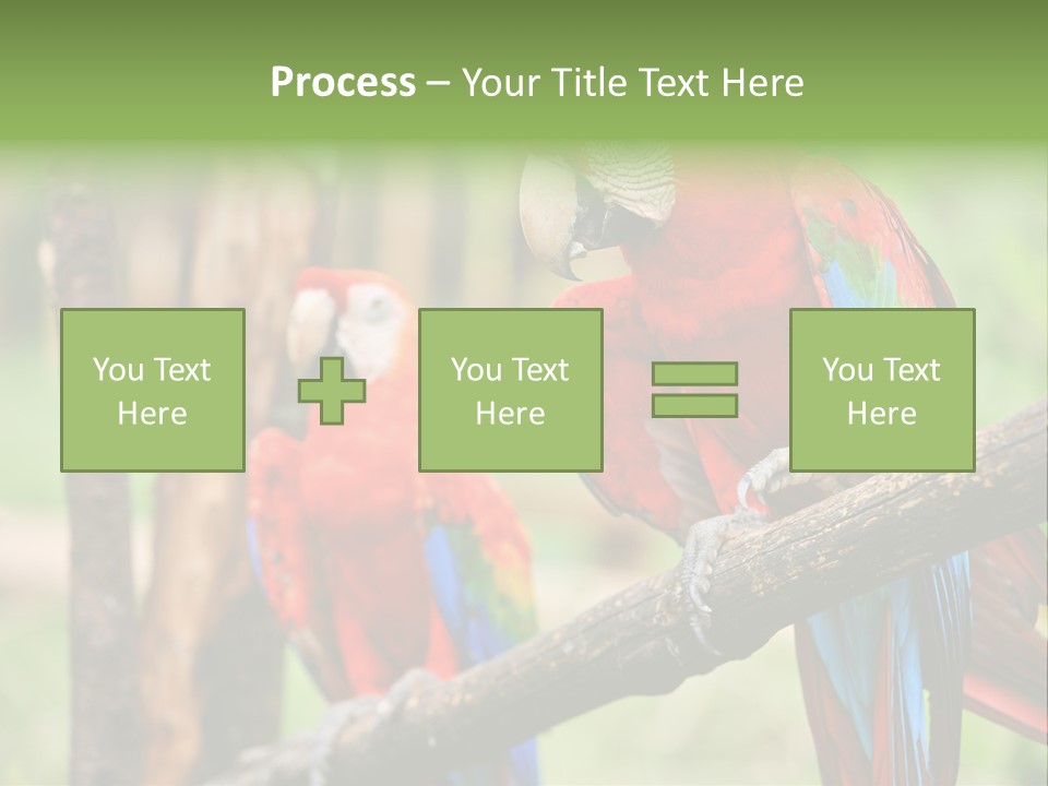 Guyana Peru Tropical PowerPoint Template