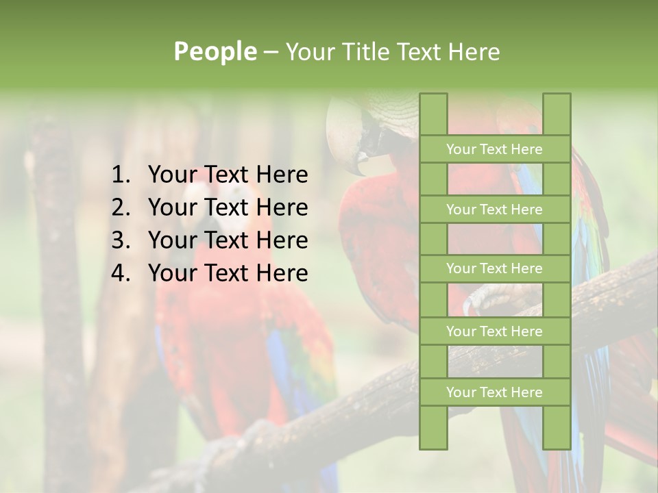 Guyana Peru Tropical PowerPoint Template