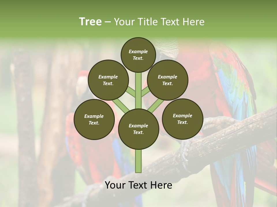 Guyana Peru Tropical PowerPoint Template
