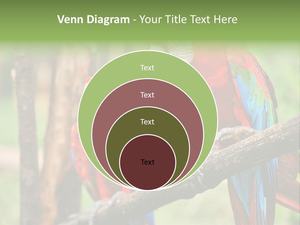 Guyana Peru Tropical PowerPoint Template