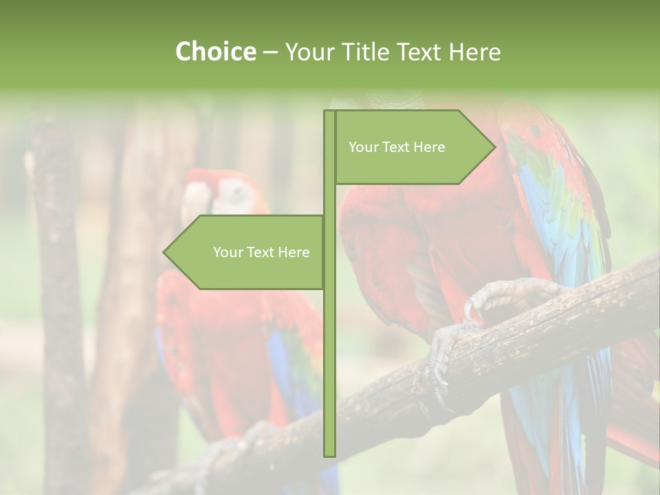 Guyana Peru Tropical PowerPoint Template