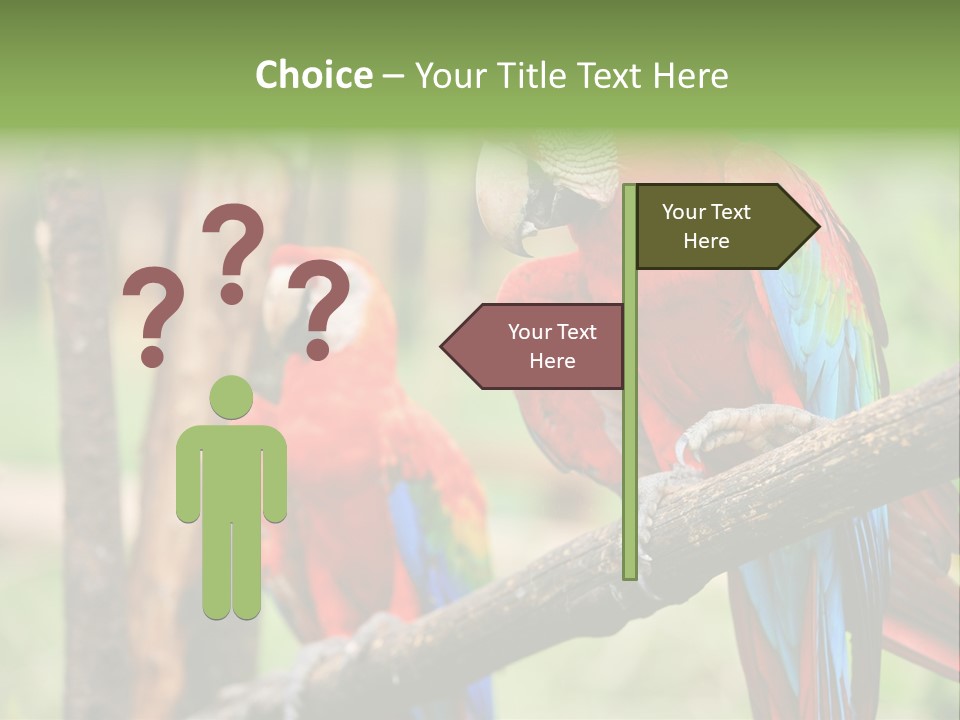 Guyana Peru Tropical PowerPoint Template