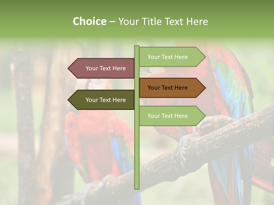 Guyana Peru Tropical PowerPoint Template