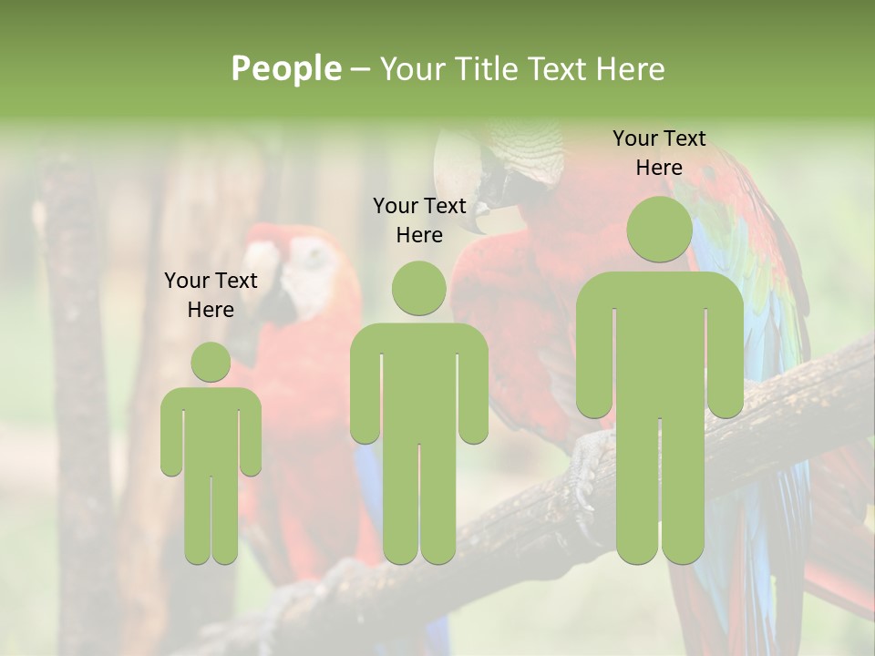 Guyana Peru Tropical PowerPoint Template