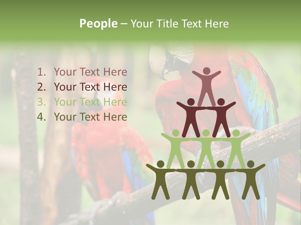 Guyana Peru Tropical PowerPoint Template